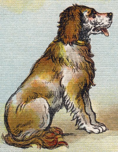 Cane. Incisione in "Alphabet de ma petite fille". Bernardin-Bechet e Fils, librai-editori, Parigi, circa 1895. Album infrangibile su tela. Bibliothèque des Bebes. da Unbekannt