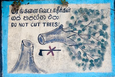 Protezione ambientale; cartello dipinto; "Non tagliare gli alberi" raffigurante un albero abbattuto e un