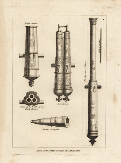 Pezzi straordinari di artiglieria: vista e sezione della culverina di Nancy, un cannone triplo, un cannone gemello e un antico pezzo a vite da Unbekannt