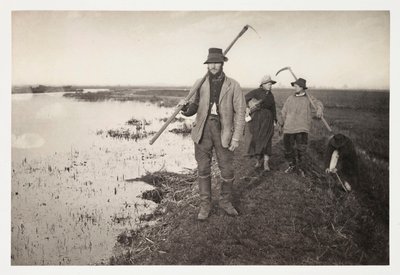 Agricoltori e lavoratori agricoli 