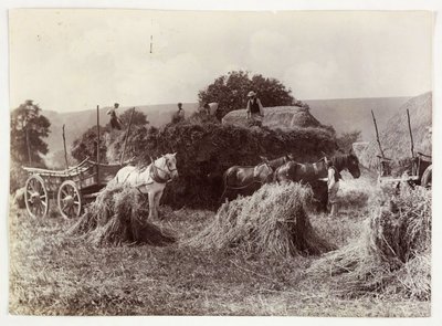 Scene di agricoltura, Raccolta e Conservazione, Raccolta, c 1890 da Unbekannt