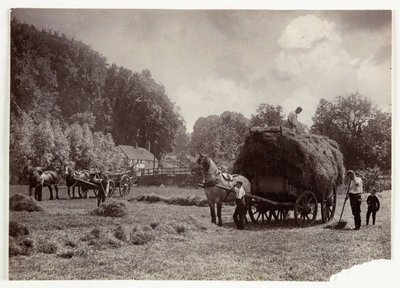 Scene di agricoltura, Raccolta e Conservazione, Fienagione, c 1890 da Unbekannt