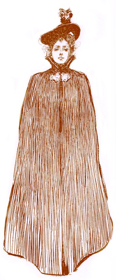 Moda per donne americane alla fine del XIX secolo da Unbekannter Künstler