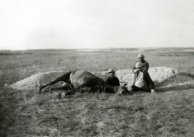 Prima Guerra Mondiale 14-18 (1914-1918): tre soldati francesi seppelliscono un cavallo morto - fotografia su lastra di vetro - da Unbekannter Künstler