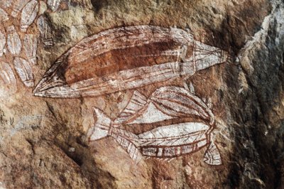 Pesce, pittura rupestre, Arnhem Land, Territorio del Nord, Australia, cultura aborigena da Benjamin Baud