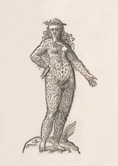 Foemina Cinnaminiae gentis da Unbekannt