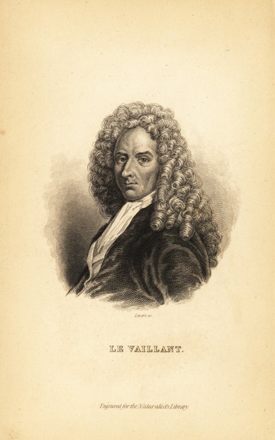 Francois le Vaillant, autore, esploratore, naturalista e ornitologo francese da Unbekannt