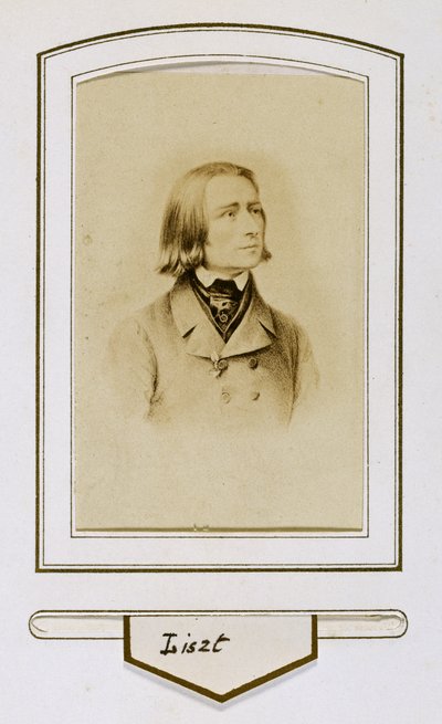 Franz Liszt da giovane da Unbekannter Künstler
