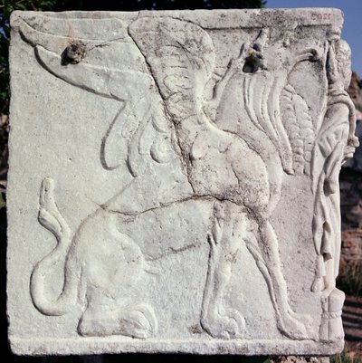 Urna funeraria con rilievo scolpito di un Grifone (pietra) da Unbekannt