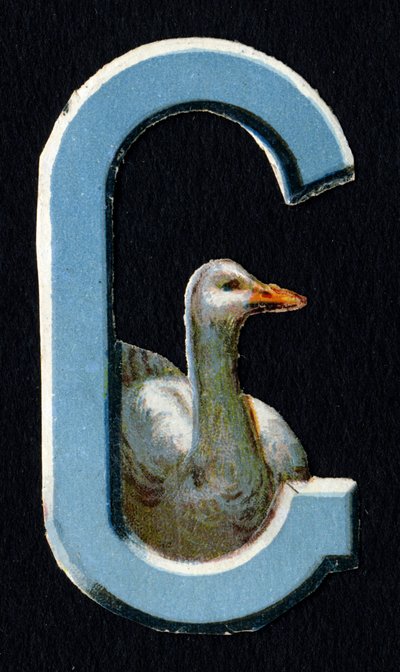 G come Oca. Decoupis di coleotteri sul tema degli animali. Incisione. Serie di 26 cromolitografie waffle di origine inglese. Editore e illustratore sconosciuti. Fine XIX secolo. da Unbekannt