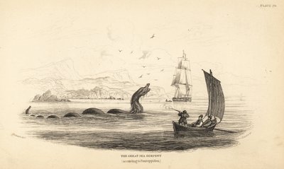Grande serpente marino sparato dall