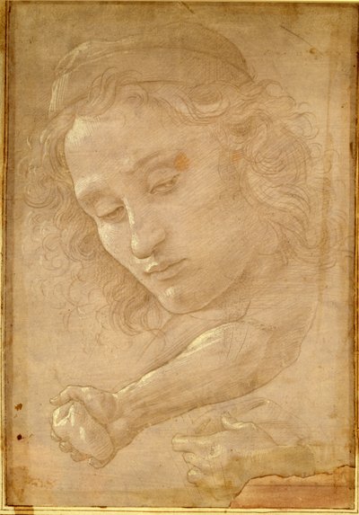 Testa di un giovane, disegno da una pagina di "Libro dei Desegni" di Giorgio Vasari da Unbekannt