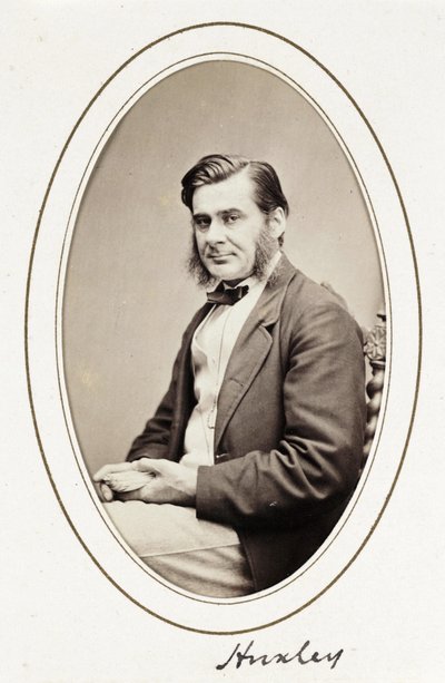 Huxley, c. 1865 da Unbekannt