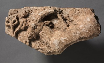 Stambecco che mangia, c.400-600 da Unbekannt