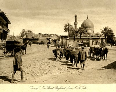Iraq - Vista della nuova strada Baghdad dal North Gate da Unbekannter Künstler