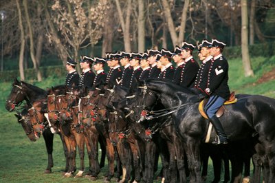 Italia, Squadrone di Corazzieri a cavallo in fila da William M. Timlin