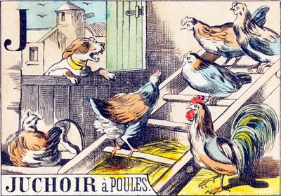 J Juchoir a poules - "Alfabeto della fattoria" fine XIX secolo (incisione) da Unbekannt