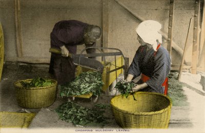 Lavoratori giapponesi che tagliano foglie di gelso da Unbekannter Künstler
