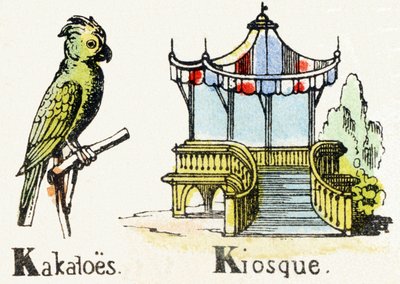 K - Cacatua Chiosco - Alfabeto dell
