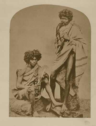 Kurumbars dalle Neelgerries, n. 431 da 