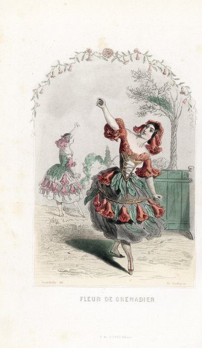 La fata del fiore di melograno danza - Acquaforte di Charles Geoffroy (1819-1882), basata su un