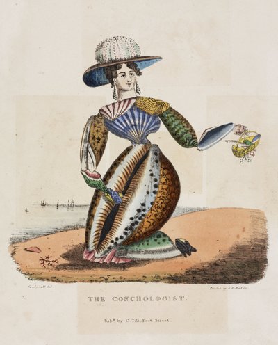 Il conchiliologo, circa 1831 da Unbekannt