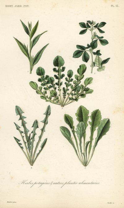 Verdure a foglia da Unbekannt