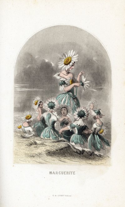 Le fate delle margherite dei prati, con cappelli di fiori, una lascia i petali di una margherita - Acquaforte di Charles Geoffroy (1819-1882), dopo un