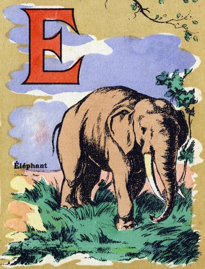 Lettera E come elefante. Alfabeto illustrato. Immagini riunite a Jarville-Nancy, inizio del XX secolo. da Unbekannt