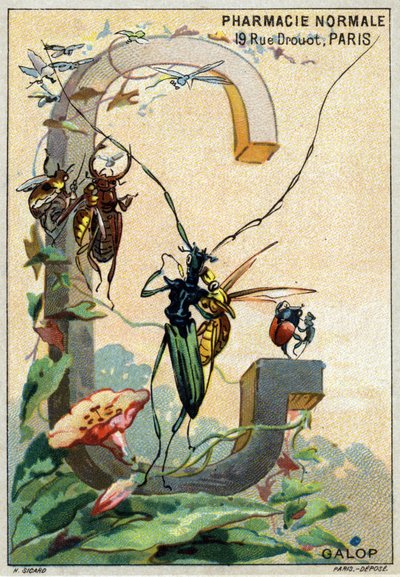 Lettera G come Galoppo. Alfabeto artistico di Mr. Marinier. Edito da Henry Sicard, fine XIX secolo. Cromolitografie pubblicitarie per prodotti venduti in farmacia. Dim: 12,5 x 9 cm da Unbekannt