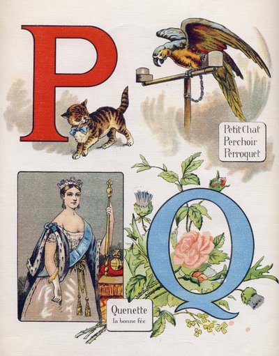 Lettere P e Q: gattino, persico, pappagallo e quenet, la fata giusta. Incisione in "ABC L