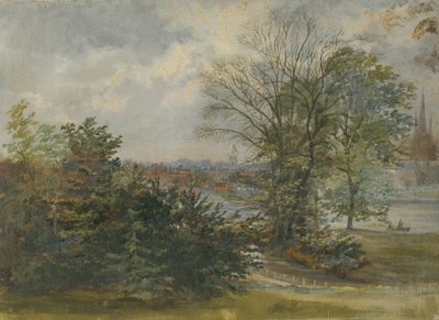 Lichfield - Vista distante: dipinto a olio, nd [?19th cent] da Unbekannt