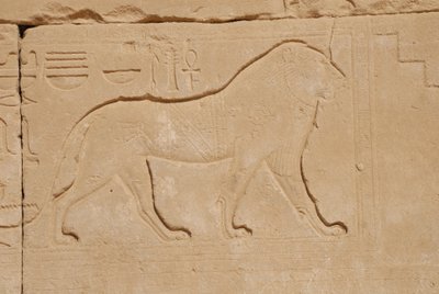 Scultura del leone, Karnak, Luxor, Egitto da Unbekannt