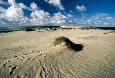 Lituania, Klaipeda, Penisola di Curlandia, Nida, dune di sabbia mobili chiamate Sahara Prussiano da William M. Timlin