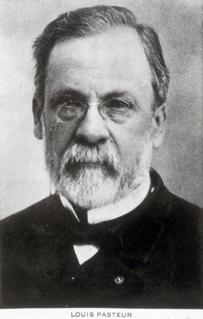 Louis Pasteur, chimico e microbiologo francese, c 1885 da Unbekannter Künstler