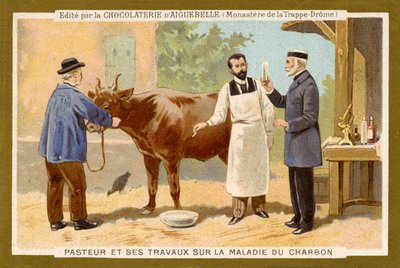 Louis Pasteur al lavoro per trovare una cura per l