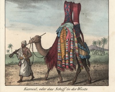 Uomo del Nord Africa, fucile di un moschetto, che guida un cammello carico di coperte. Litografia per il libro: “Galerie complete en tableaux fideles des peuples d
