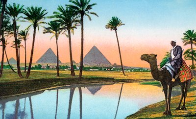 Uomo su un cammello che osserva le Piramidi di Giza, c.1900 da Unbekannter Künstler
