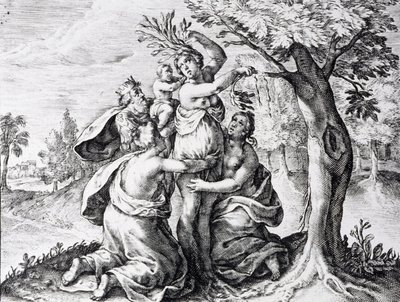 Mattei nelle metamorfosi di Ovidio da Unbekannter Künstler