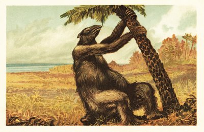 Megatherium americanum che tira una palma da Unbekannter Künstler