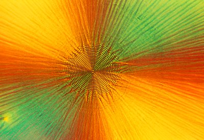 Micrografie (Luce) Acido ascorbico, micrografia a luce da Unbekannt