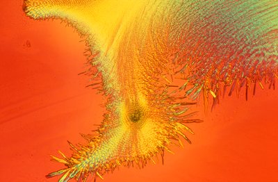 Micrografie (Luce) Silicato di sodio, micrografia a luce da Unbekannter Künstler