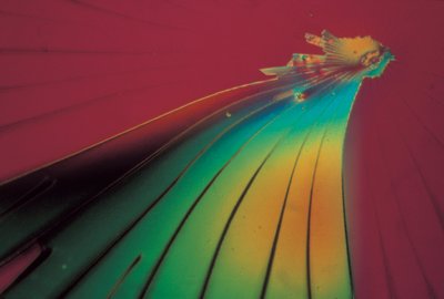 Micrografie (Luce) Silicato di sodio, micrografia a luce da Unbekannter Künstler