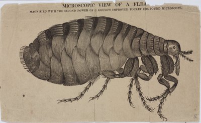 Microscopia da Unbekannt