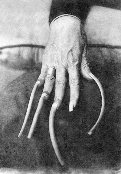 Particolarità mostruosa: una mano con unghie molto lunghe. Cina 1910 ca. Foto storica, unghie lunghe, Cina, ca. 1910 da Unbekannter Künstler