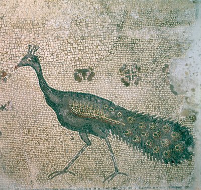 Mosaico nella Chiesa della Moltiplicazione dei Pani e dei Pesci da Unbekannt