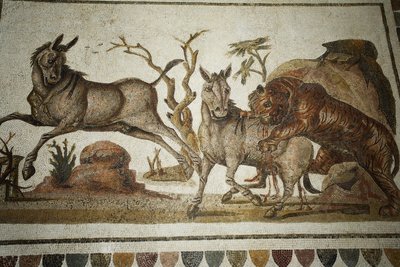 Mosaico di animali in lotta: tigre che assalta due primati notturni. II sec. d.C./Museo di El Jem (Antica Thysdrus)/Tunisia da Unbekannt