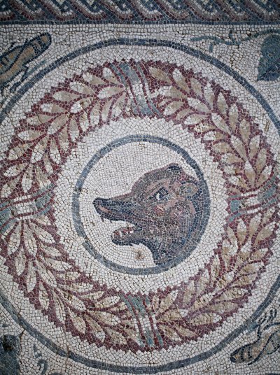 Mosaico del peristilio. Dettaglio che rappresenta la testa di un orso. III - IV secolo. Villa Romana del Casale, Sicilia. Sito UNESCO. da William M. Timlin