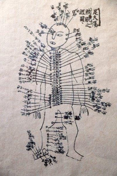 Museo della Medicina Tradizionale Vietnamita, I canali e i vasi, Libro di agopuntura, Ho Chi Minh City, Vietnam da Unbekannt