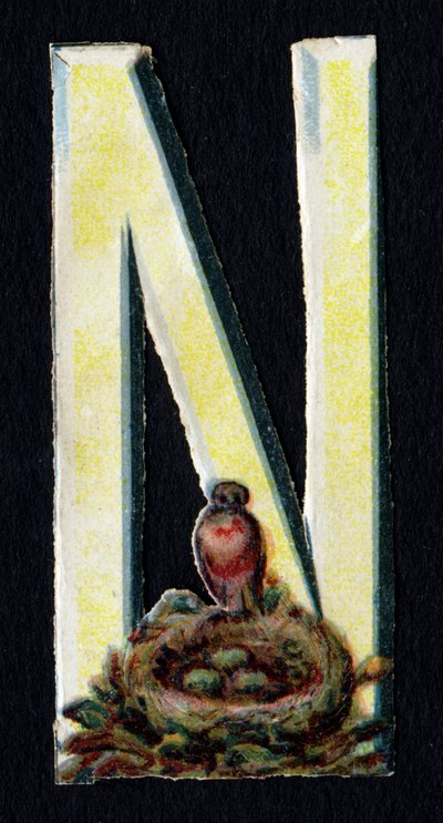 N come Nido. Decoupis di coleotteri sul tema degli animali. Incisione. Serie di 26 cromolitografie waffle di origine inglese. Editore e illustratore sconosciuti. Fine XIX secolo. da Unbekannt